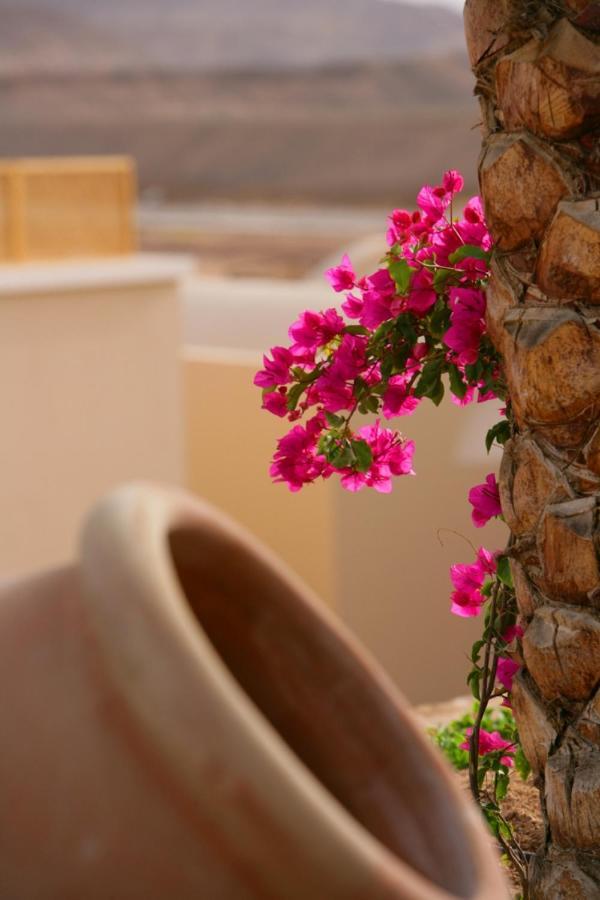 Tui Magic Life Kalawy Hotel Хургада Екстериор снимка